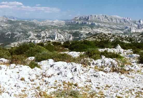 16.jpg (87477 octets)