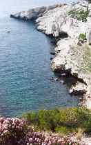 baie_des_singes.jpg (12975 octets)