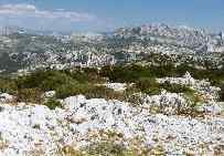mont_julien.jpg (14346 octets)